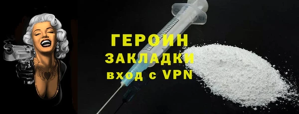 хмурый Пересвет