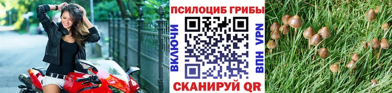 это телеграм Данилов Галлюциногенные грибы мухоморы